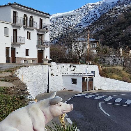 Alojamiento Rural Casa Clara La Pescaora Trevélez Exterior foto